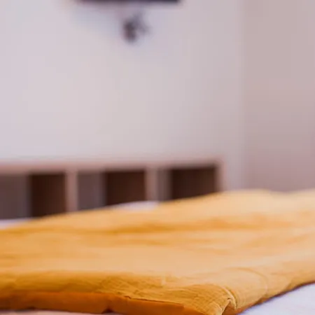 **auberge De L'aude** 4* カルカソンヌ